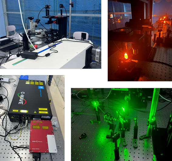 Resonant Raman spectroscopy system development